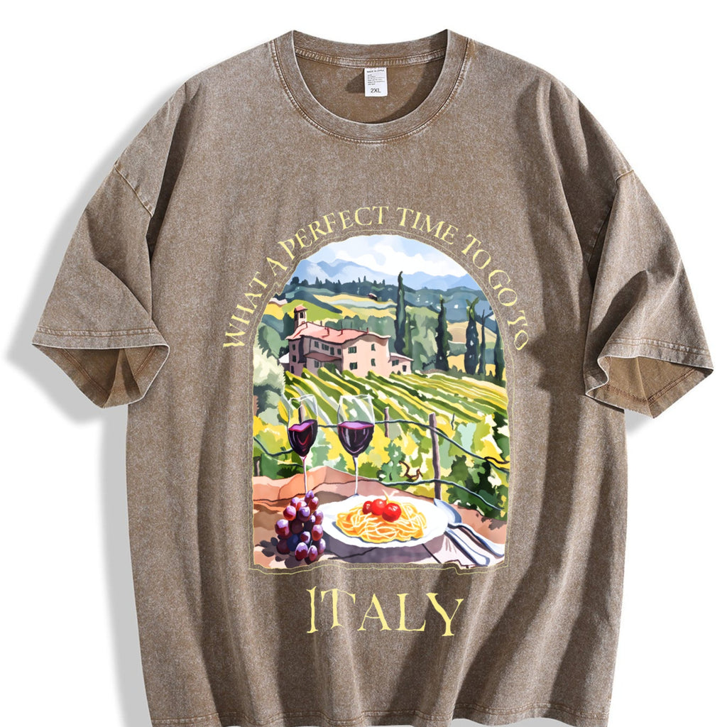 What A Perfect Time To Go To Italy Vintage Washed T-Shirt product image 3