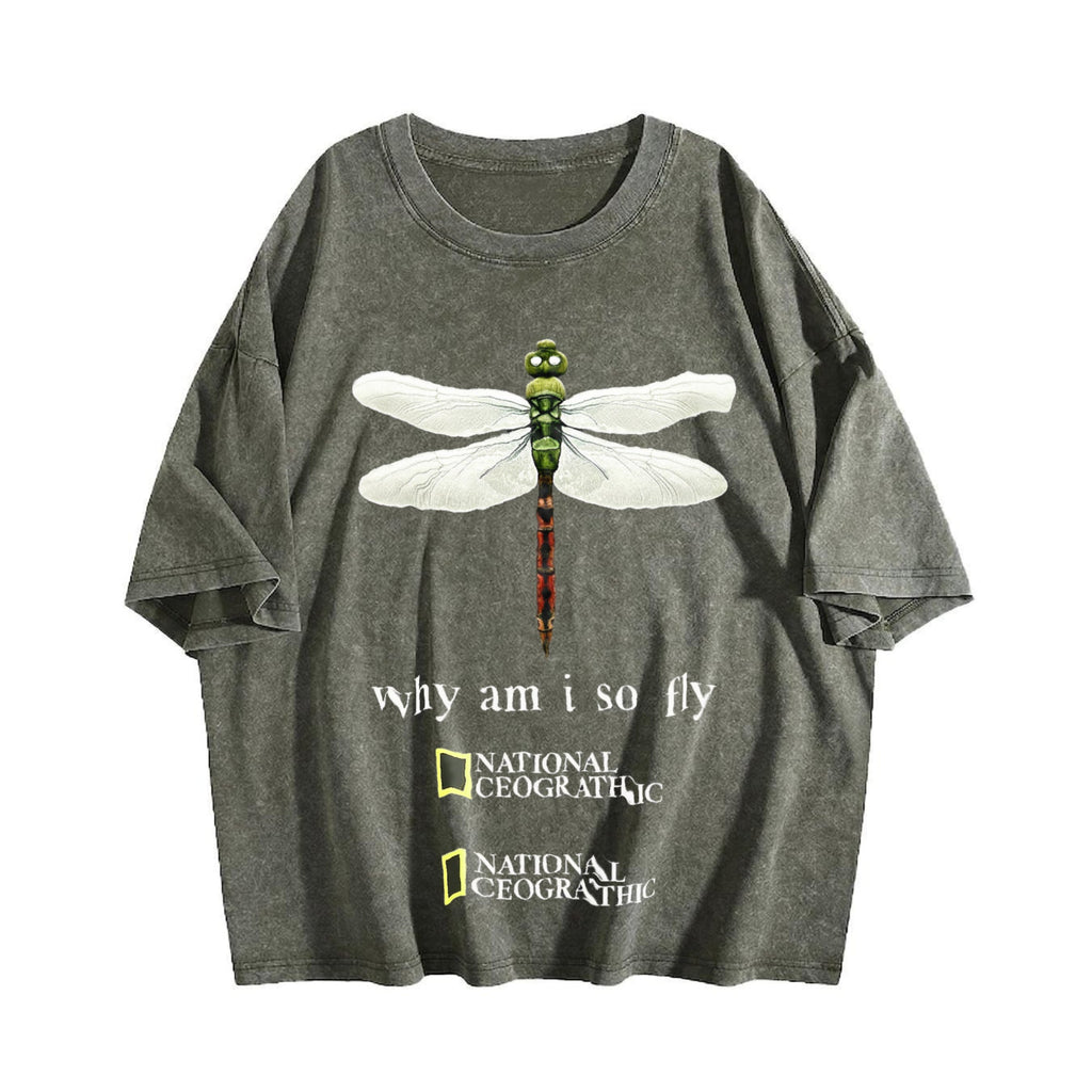 Dragonfly Why Am I So Fly Vintage Washed T-Shirt product image 4