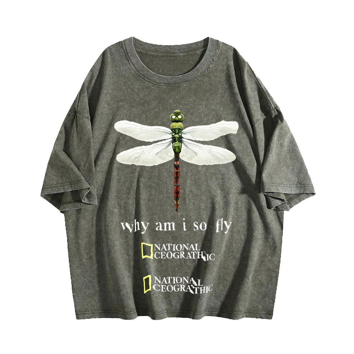 Dragonfly Why Am I So Fly Vintage Washed T-Shirt product image 4