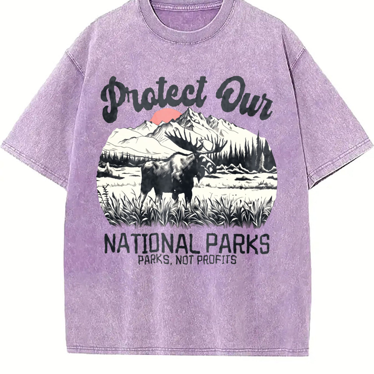 Protect Our National Parks Vintage Washed T-Shirt product image 6