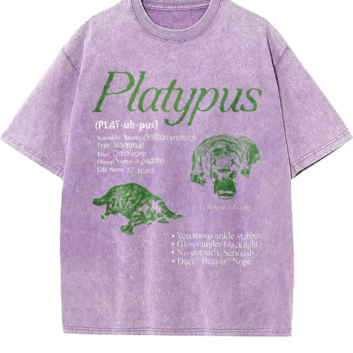 Platypus 90s Vintage Washed T-Shirt product image 6