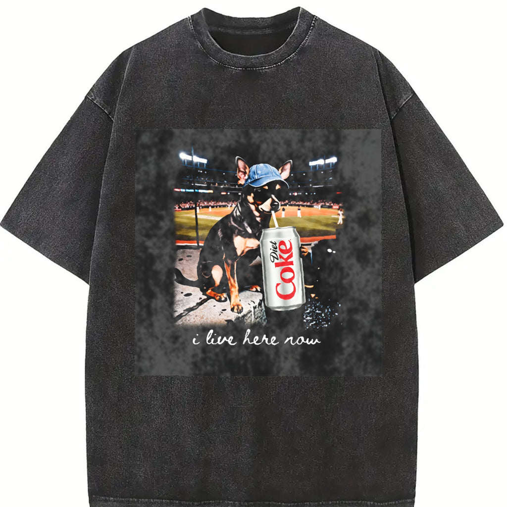 I Live Here Now Stadium Cat Vintage Washed T-Shirt product image 2