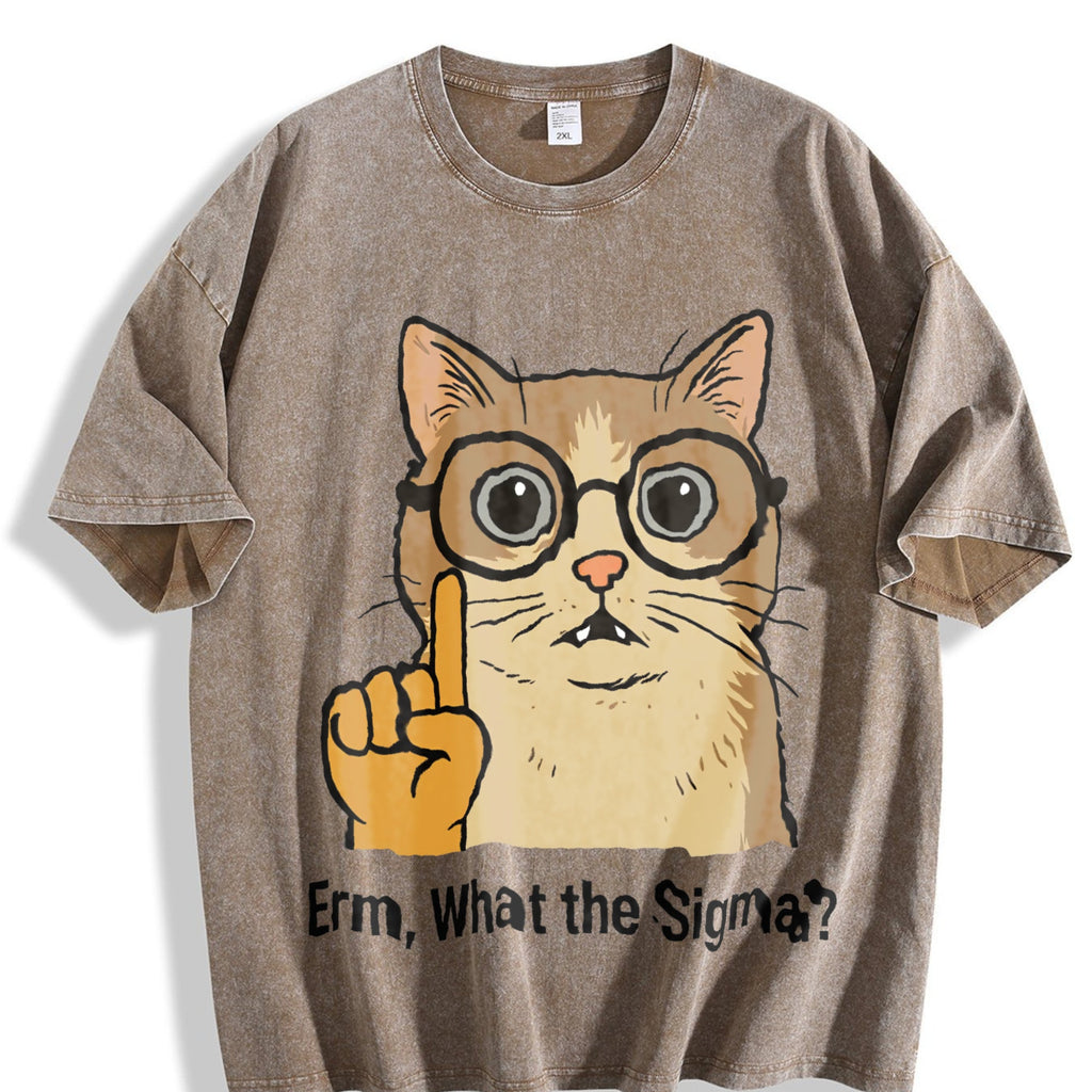 Sigma Cat Meme Vintage Washed T-Shirt product image 3