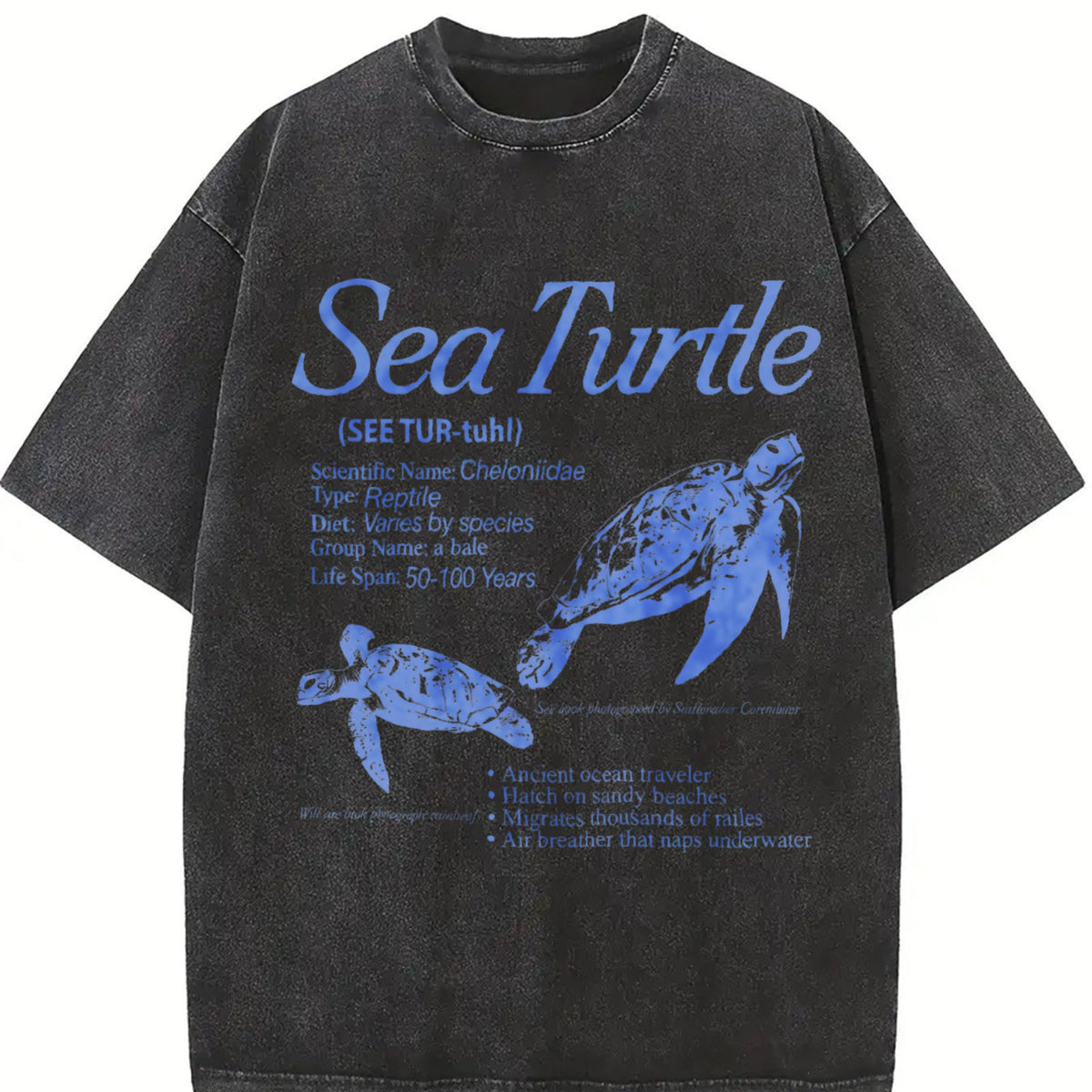 Sea Turtle 90s Vintage Washed T-Shirt product image 2