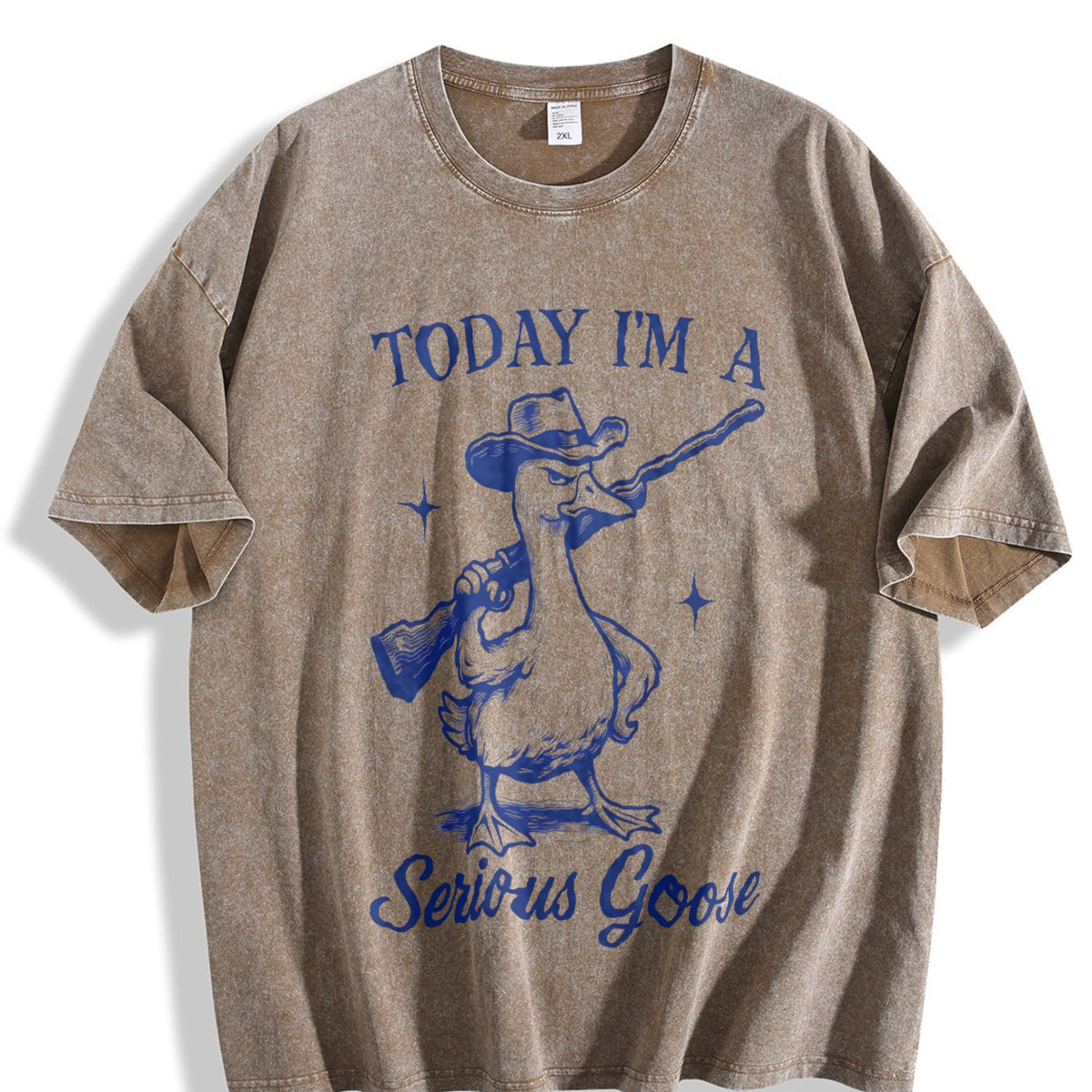 Funny Goose Today I'm A Serious Vintage Washed T-Shirt product image 3