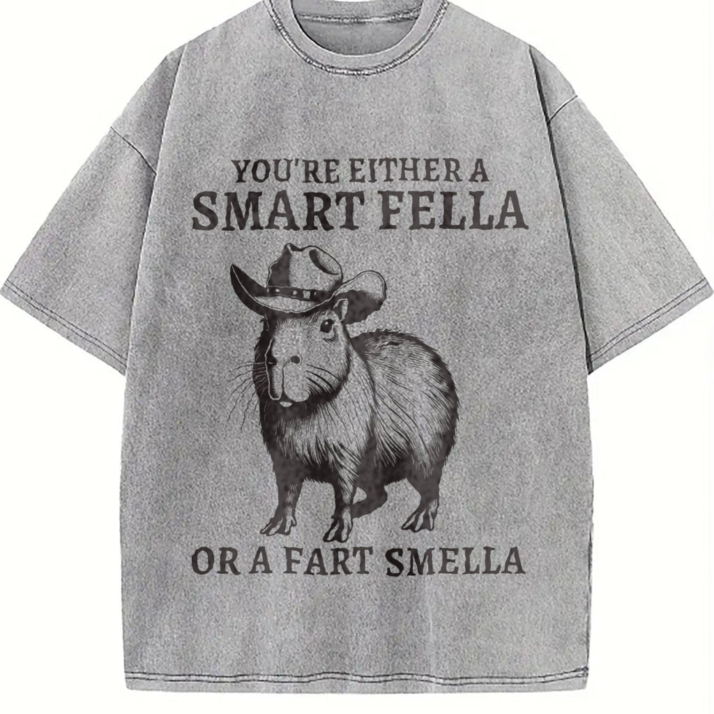 Smart Fella Capybara 90s Vintage Washed T-Shirt product image 5