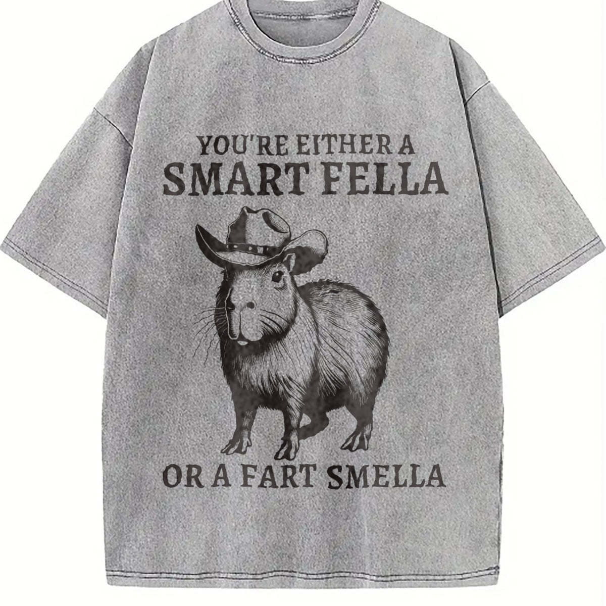 Smart Fella Capybara 90s Vintage Washed T-Shirt product image 5