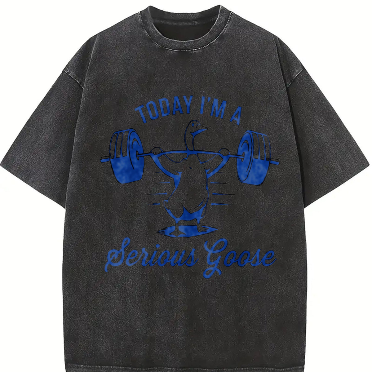 Serious Goose Lifting Weights Vintage Washed T-Shirt product image 2