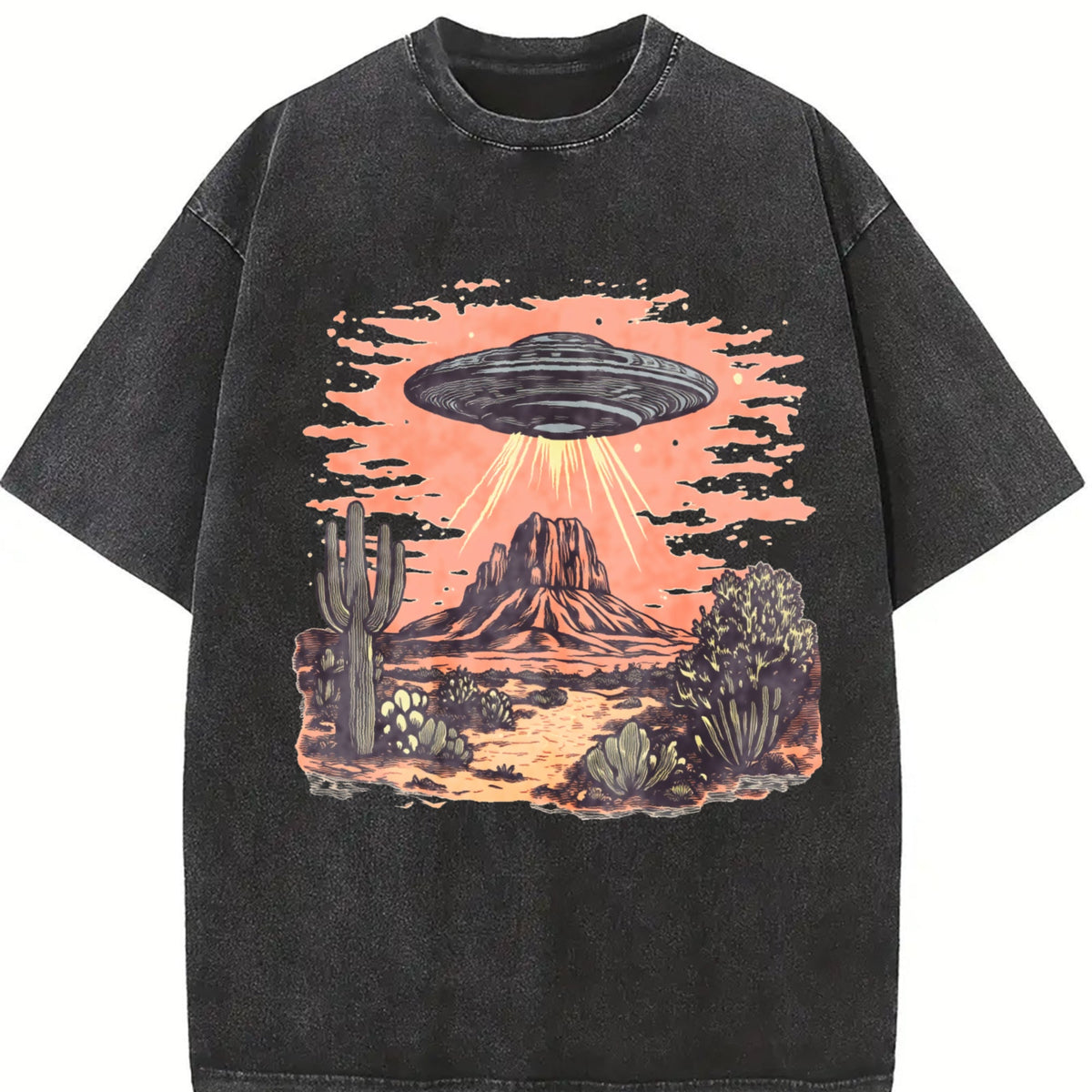 UFO In Dessert Y2K Vintage Washed T-Shirt product image 2
