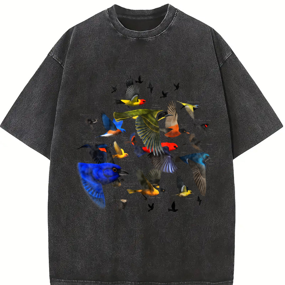 Bird Migration Vintage Washed T-Shirt product image 2