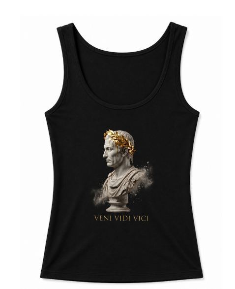 Veni Vidi Vici product image 3