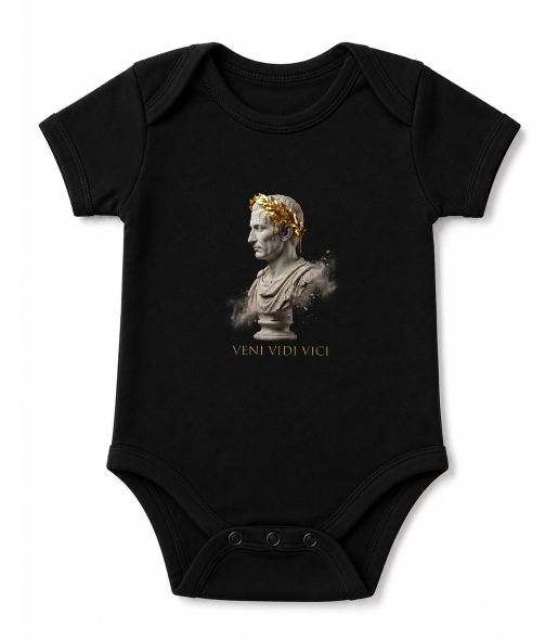 Veni Vidi Vici product image 3