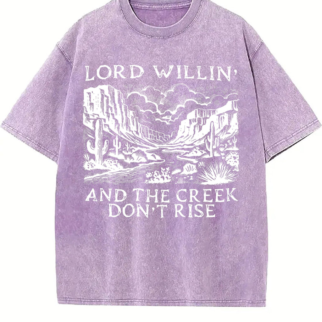 Lord Willin and the Creek Don't Rise Vintage Washed T-Shirt product image 6