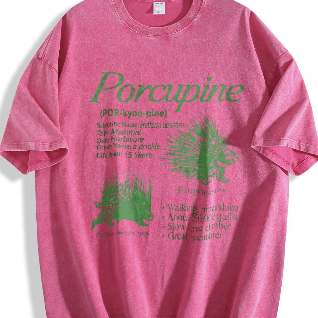 Porcupine 90s Vintage Washed T-Shirt product image 7