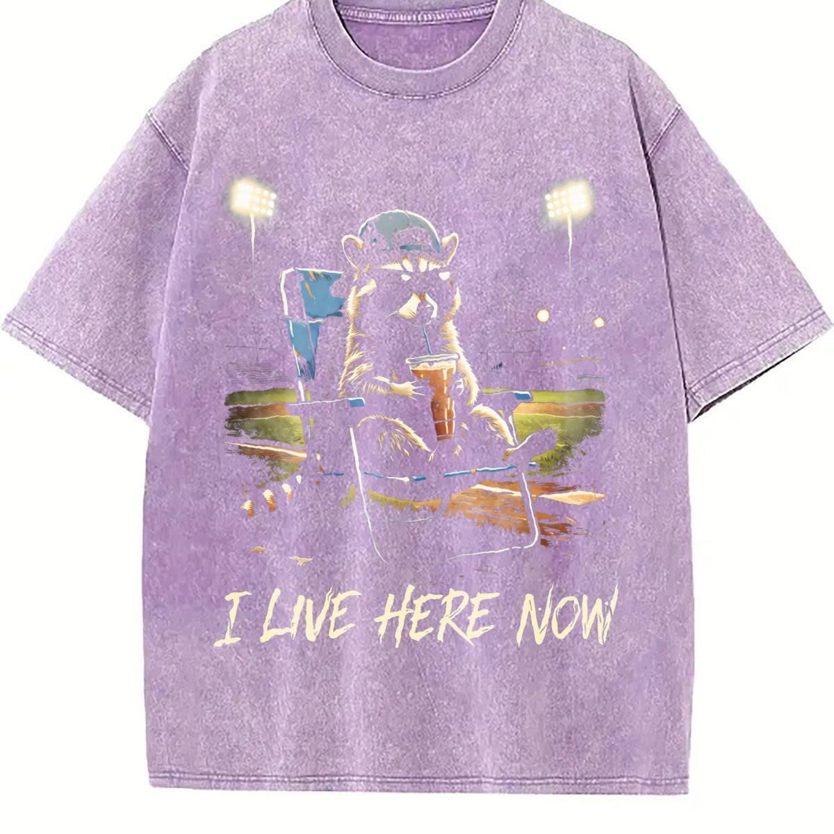 I Live Here Now Ballpark Vintage Washed T-Shirt product image 6