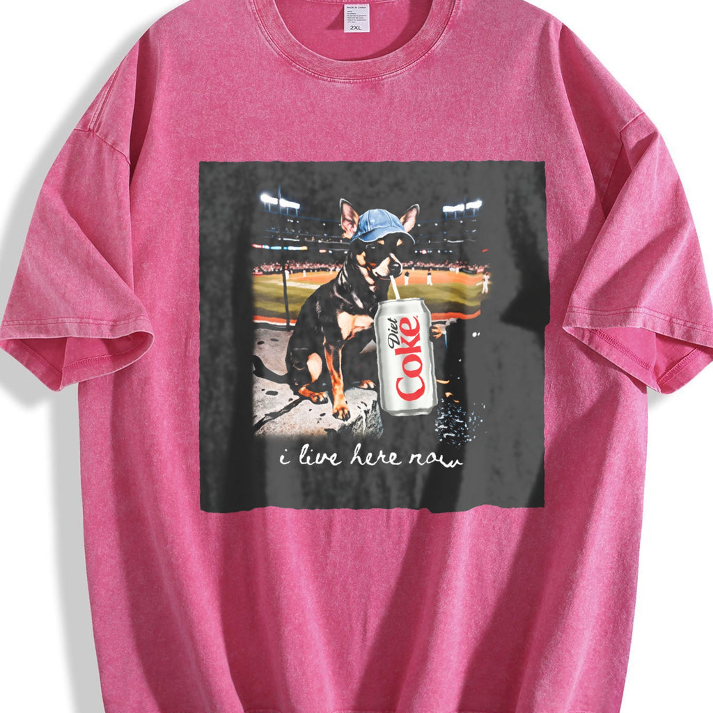 I Live Here Now Stadium Cat Vintage Washed T-Shirt product image 7