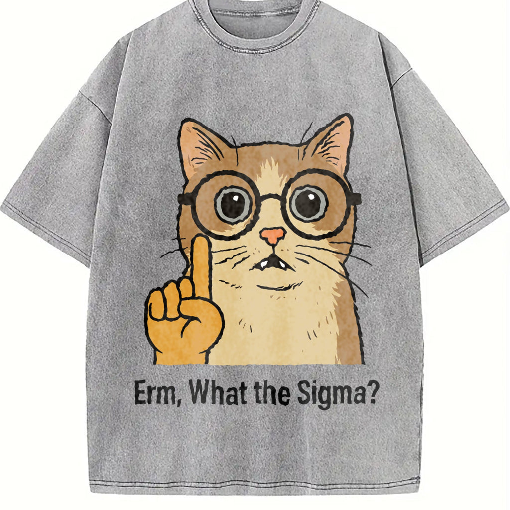 Sigma Cat Meme Vintage Washed T-Shirt product image 5