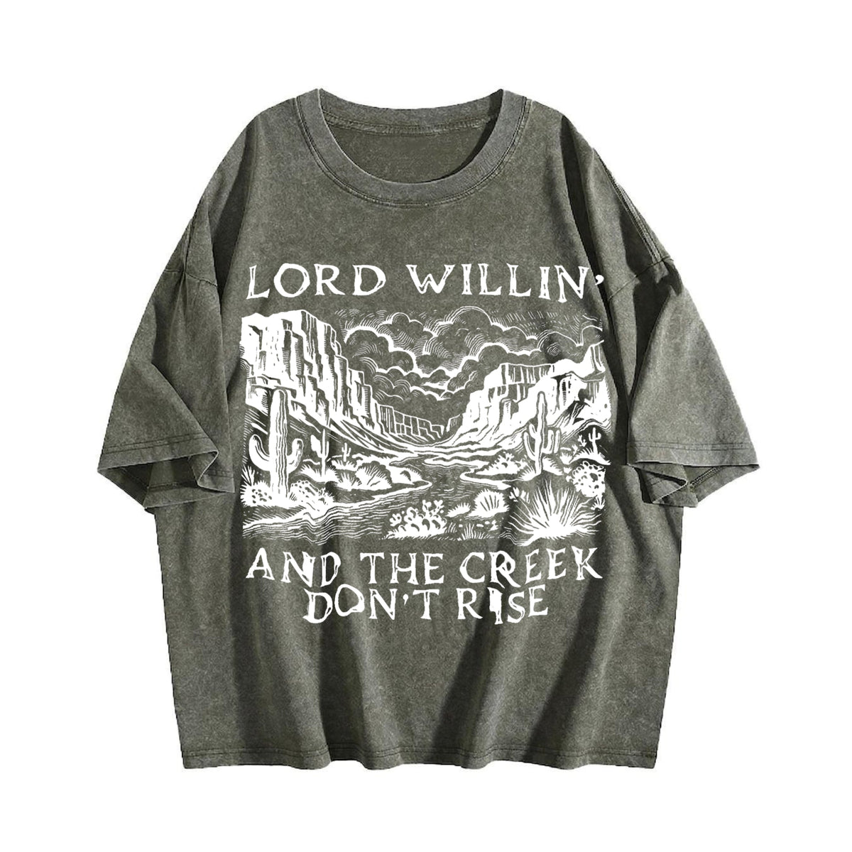 Lord Willin and the Creek Don't Rise Vintage Washed T-Shirt product image 4