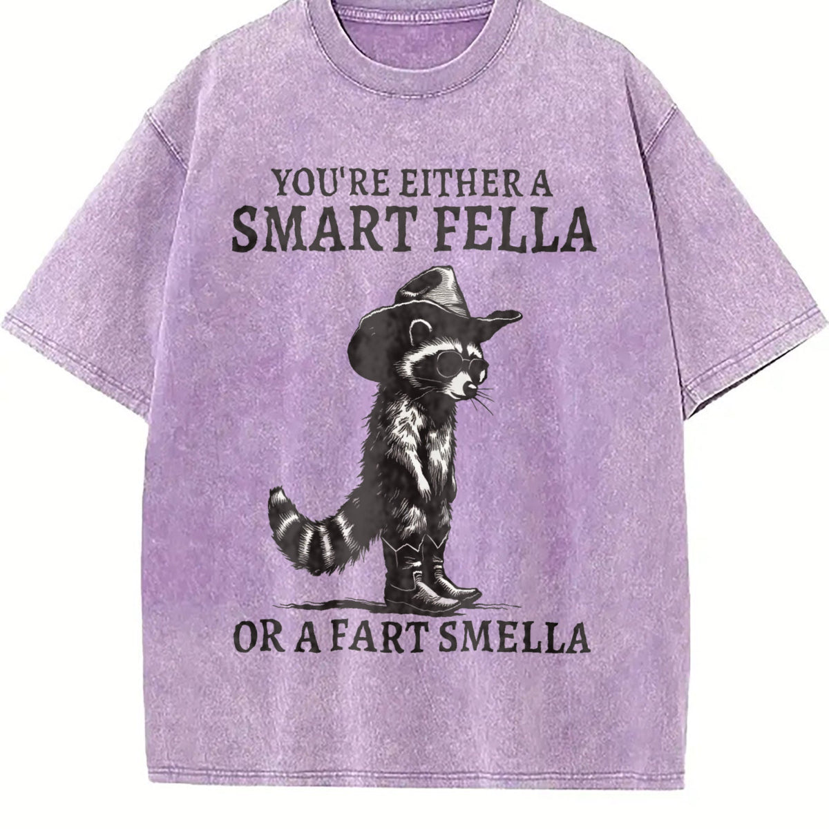 Smart Fella Raccoon 90s Vintage Washed T-Shirt product image 6