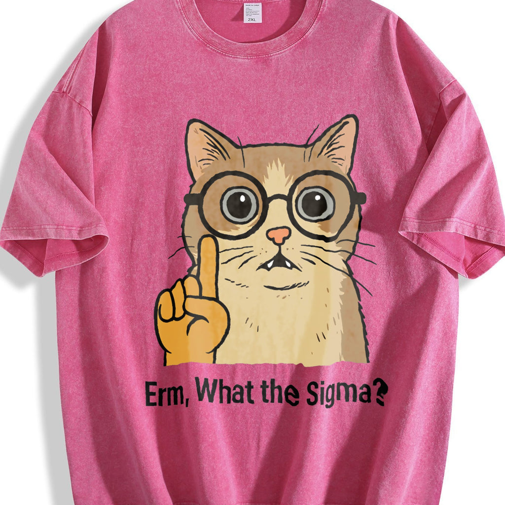 Sigma Cat Meme Vintage Washed T-Shirt product image 7