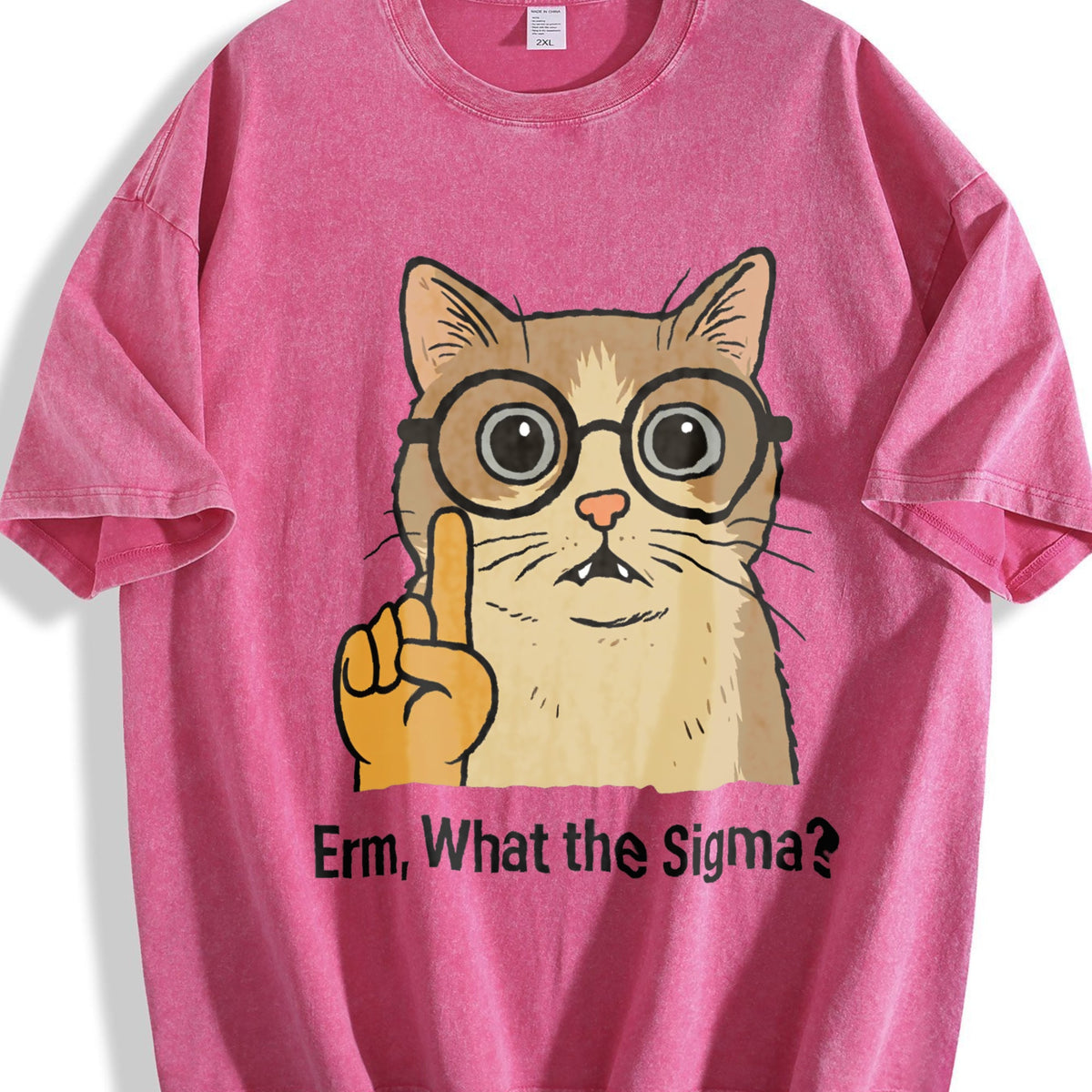 Sigma Cat Meme Vintage Washed T-Shirt product image 7