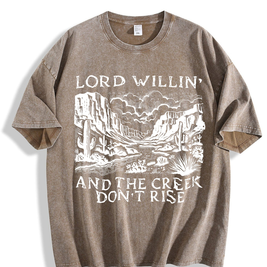 Lord Willin and the Creek Don't Rise Vintage Washed T-Shirt product image 3