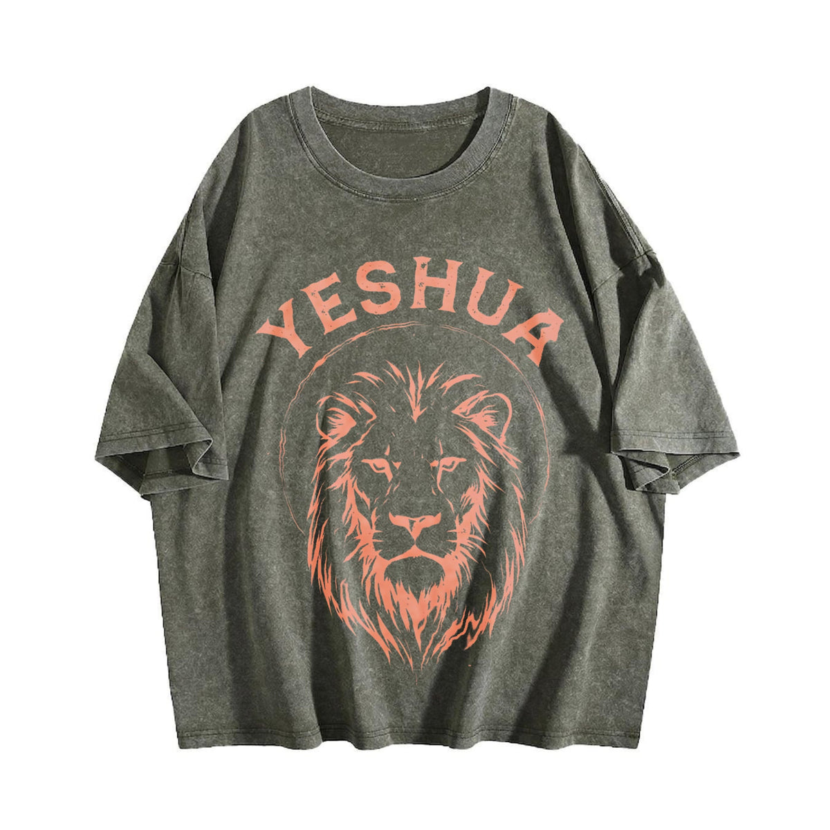 Yeshua Lion Vintage Washed T-Shirt product image 4
