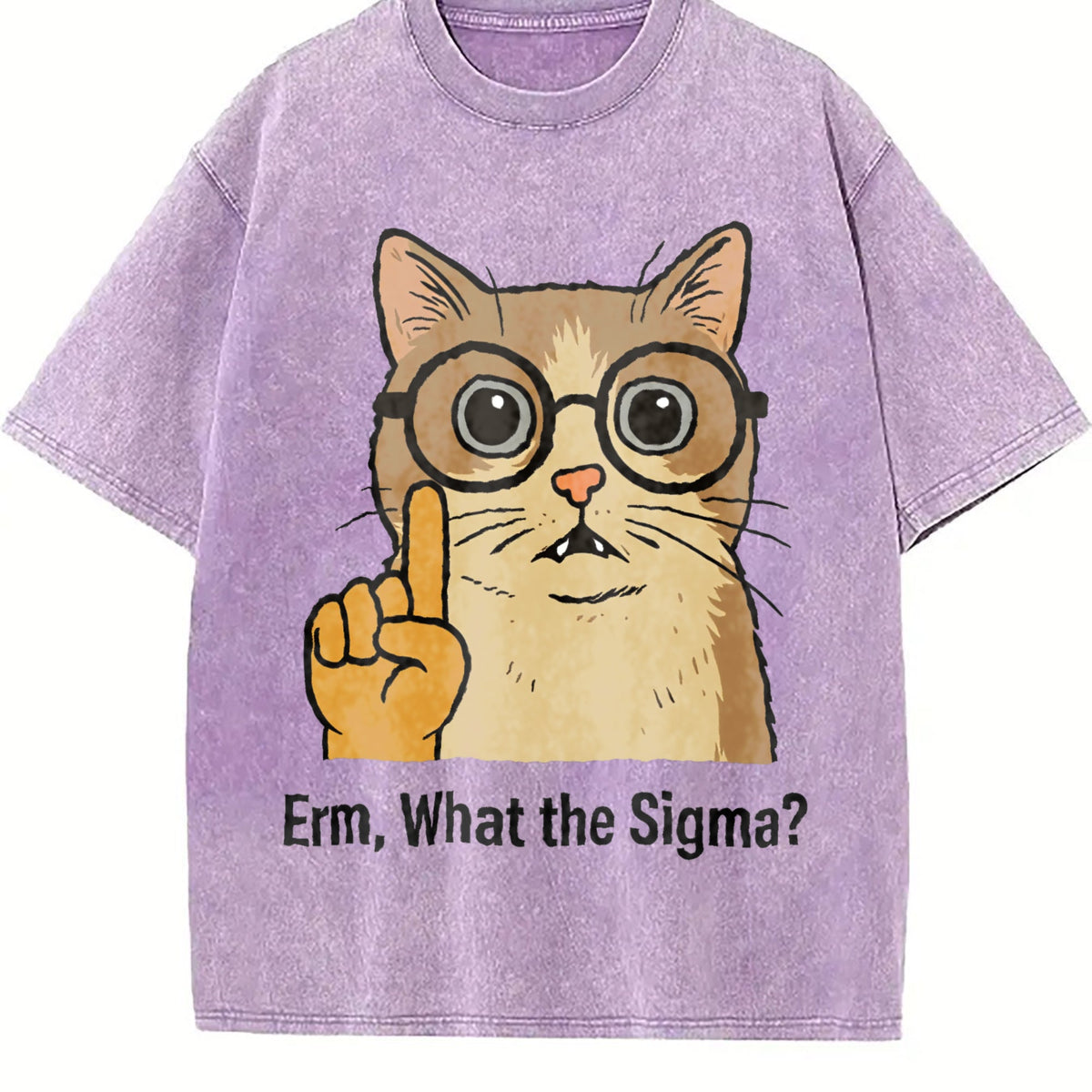 Sigma Cat Meme Vintage Washed T-Shirt product image 6