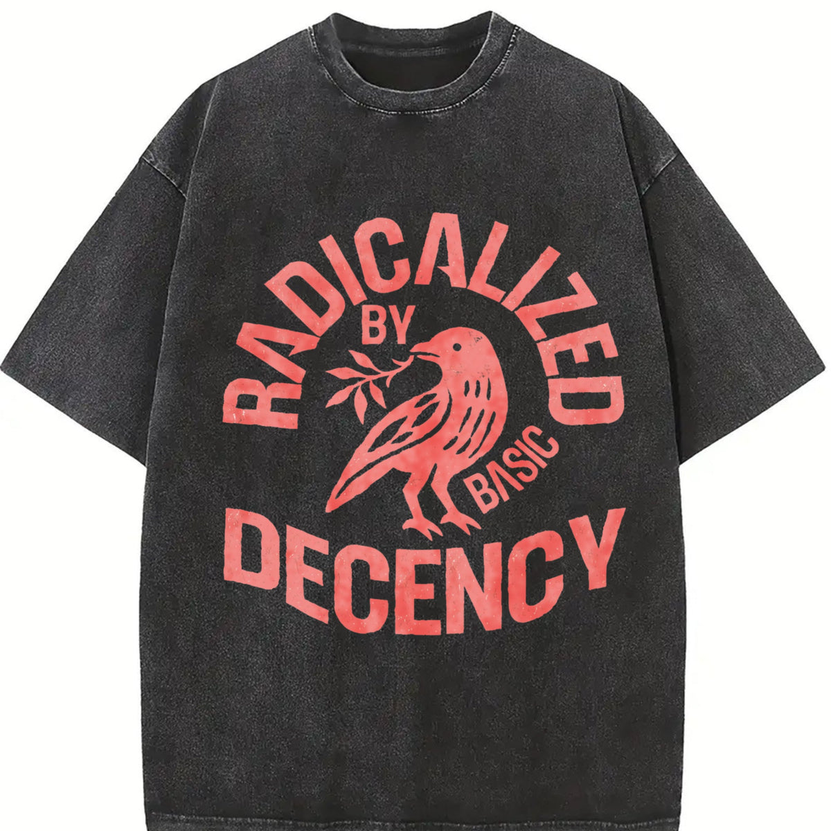 Radicalized By Basic Decency Vintage Washed T-Shirt product image 2