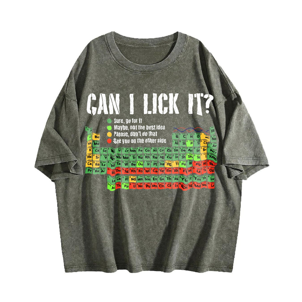 Can I Lick It Vintage Washed T-Shirt product image 4
