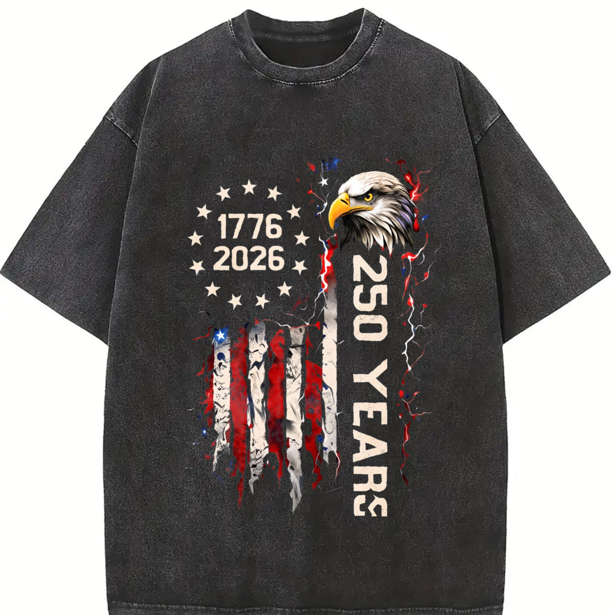 USA 250 Vintage Washed T-Shirt product image 2