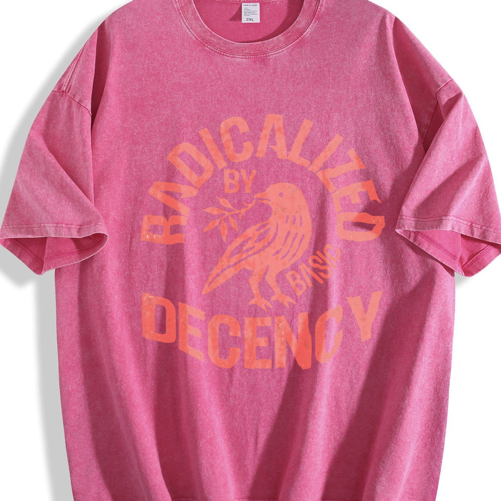 Radicalized By Basic Decency Vintage Washed T-Shirt product image 7