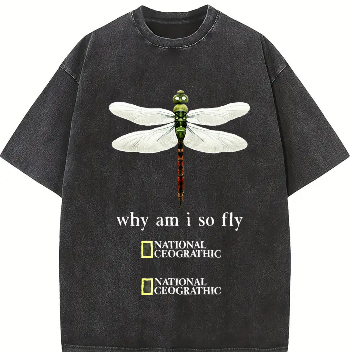 Dragonfly Why Am I So Fly Vintage Washed T-Shirt product image 2