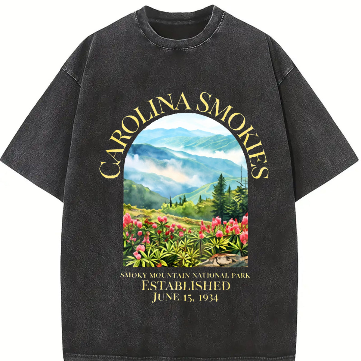 North Carolina Smoky Mountain National Park Vintage Washed product image 2