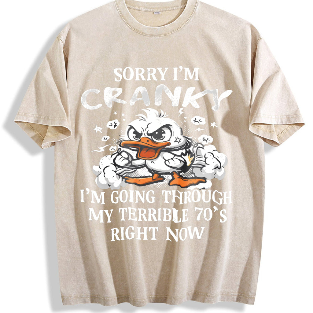 The Cranky Coastal Granddaughter: Sun-faded With Sorry product image 1