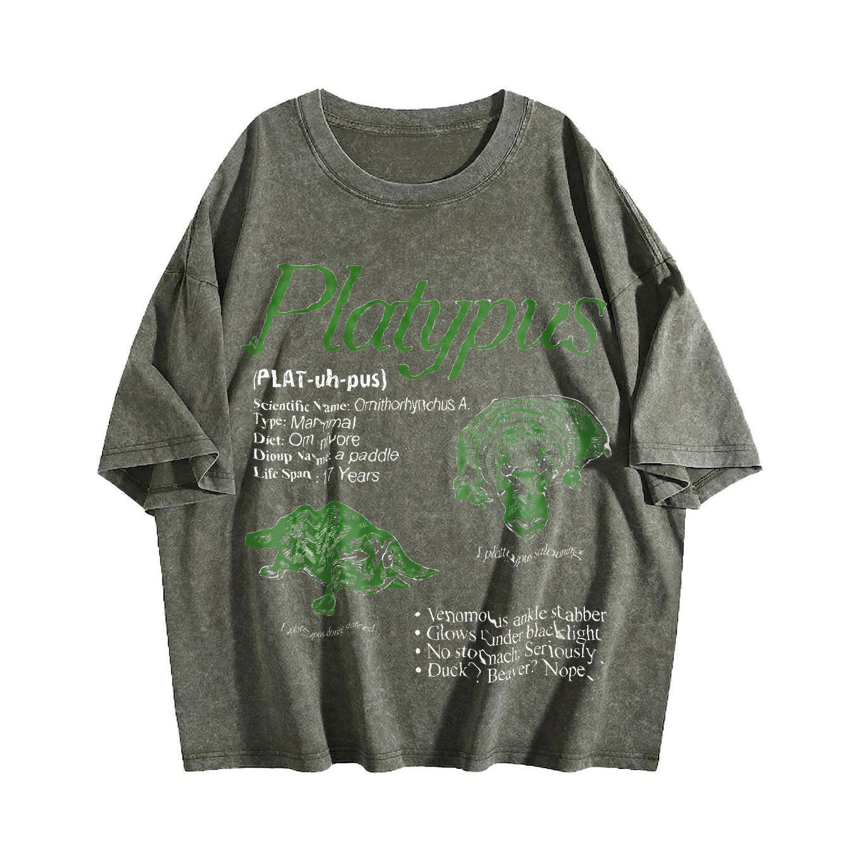 Platypus 90s Vintage Washed T-Shirt product image 4