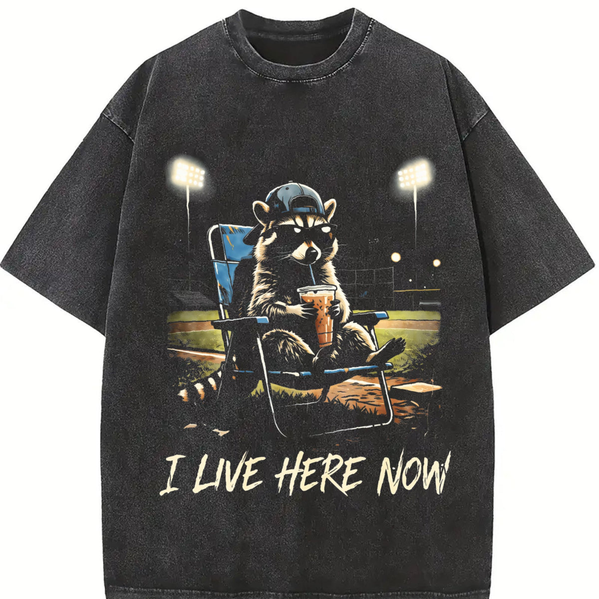 I Live Here Now Ballpark Vintage Washed T-Shirt product image 2