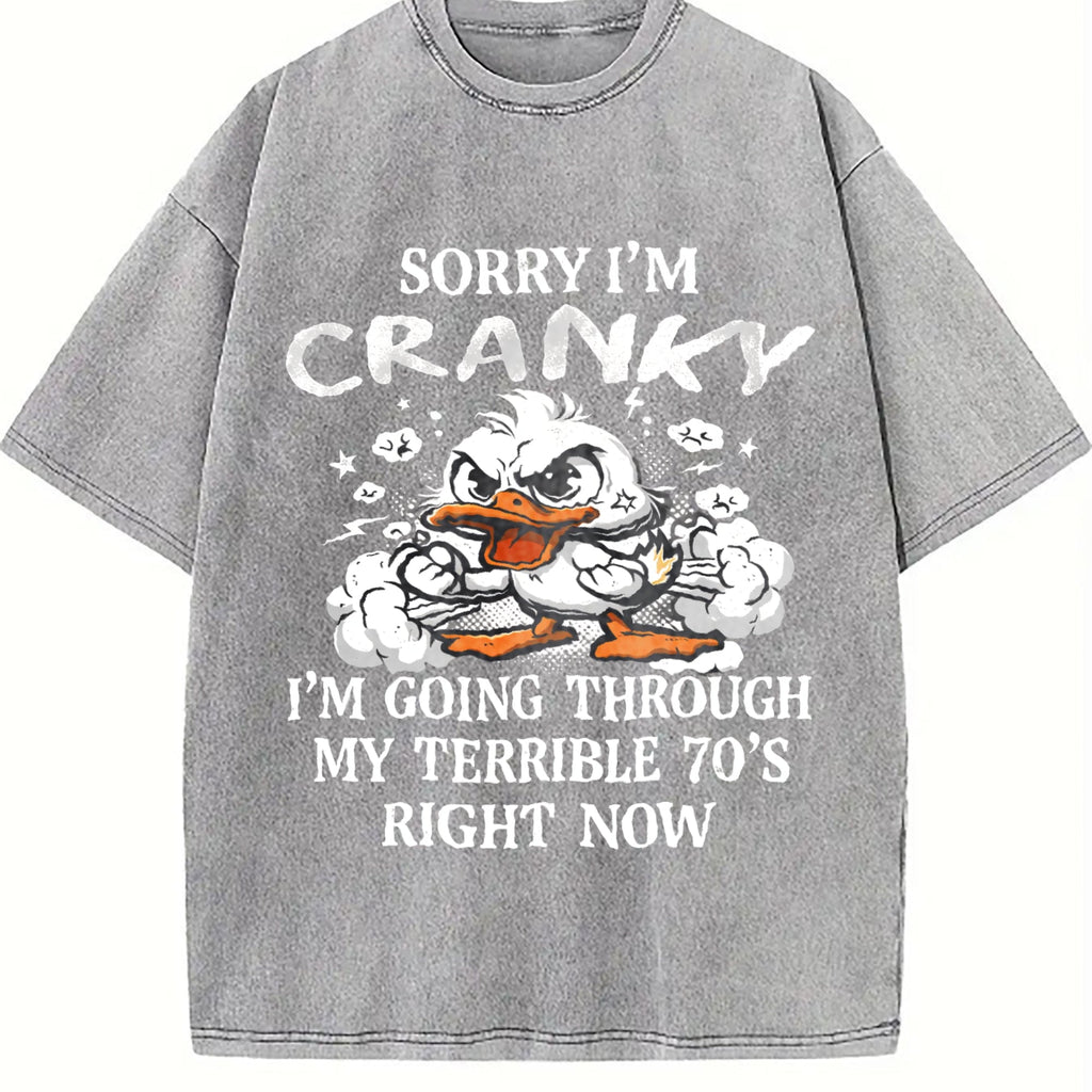The Cranky Coastal Granddaughter: Sun-faded With Sorry product image 5