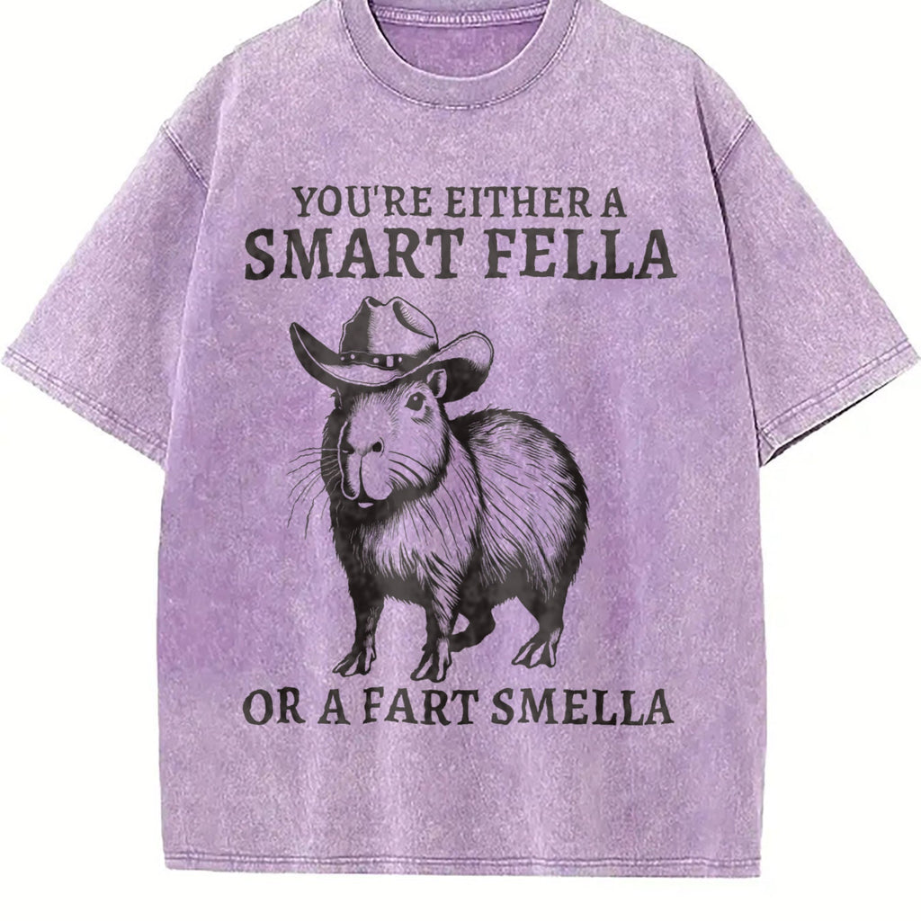 Smart Fella Capybara 90s Vintage Washed T-Shirt product image 6