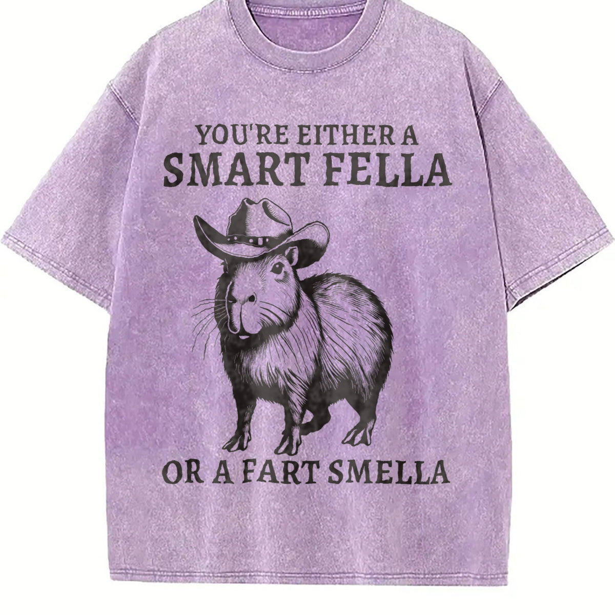 Smart Fella Capybara 90s Vintage Washed T-Shirt product image 6