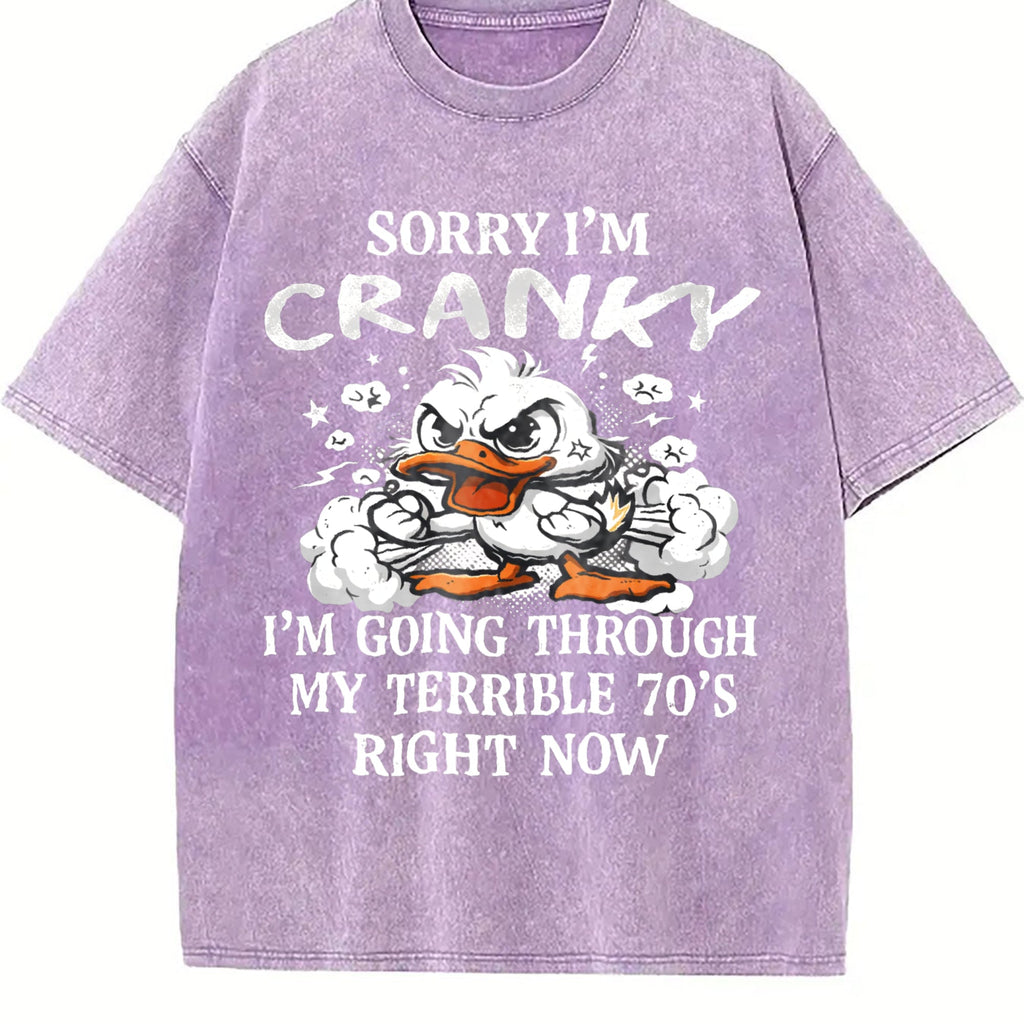 The Cranky Coastal Granddaughter: Sun-faded With Sorry product image 6