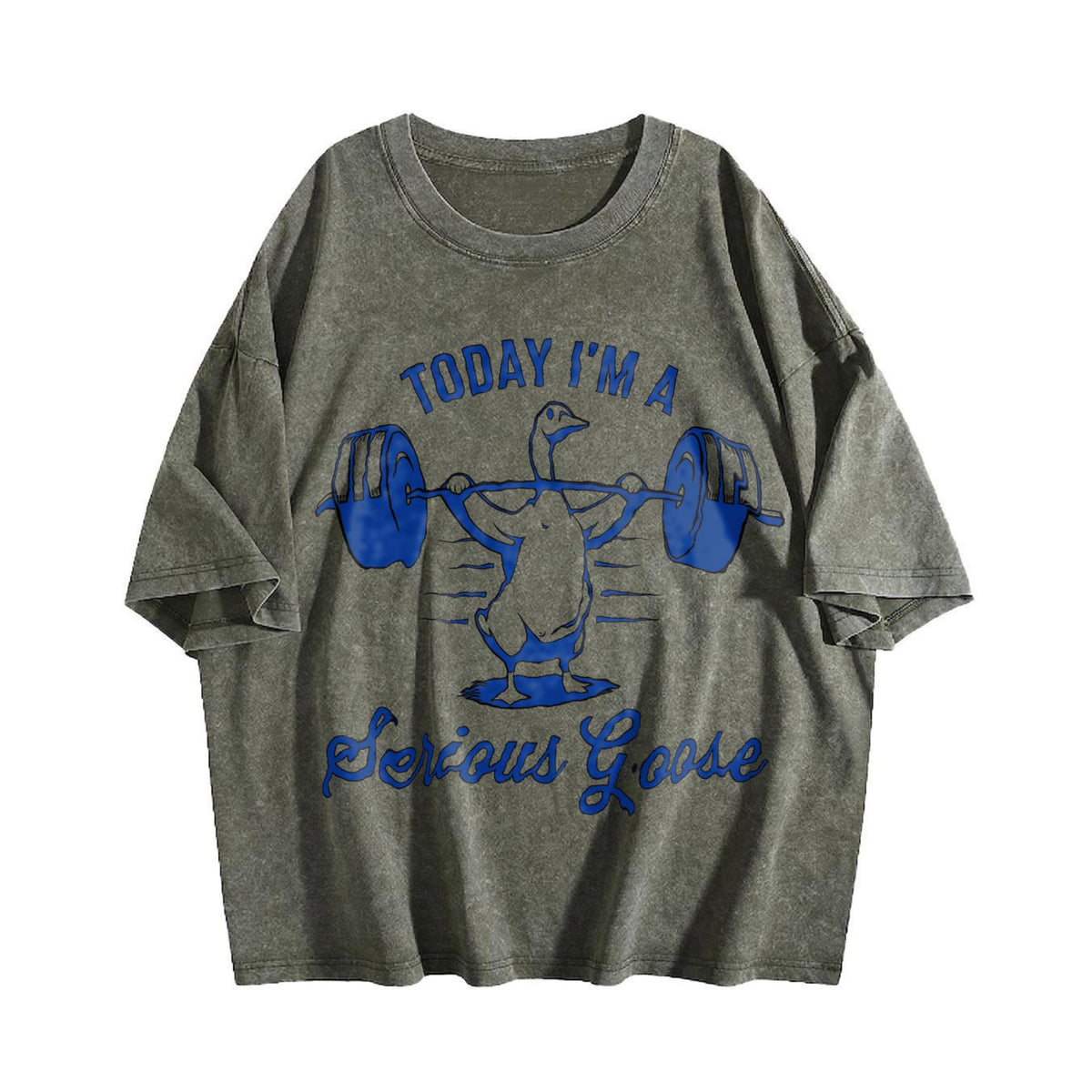 Serious Goose Lifting Weights Vintage Washed T-Shirt product image 4