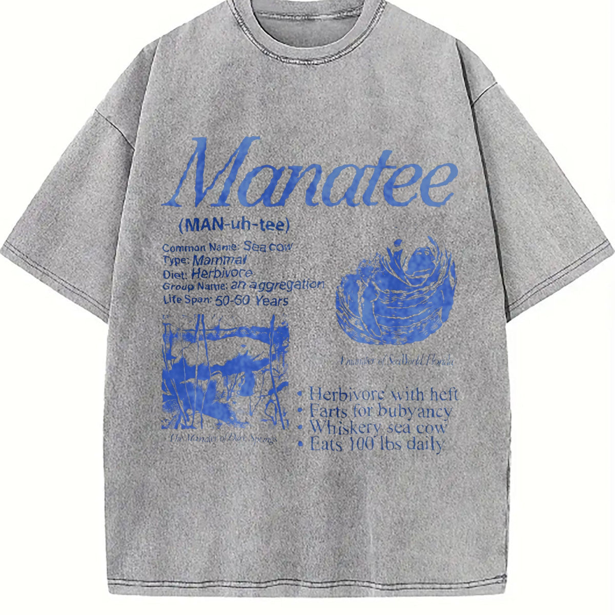 Manatee 90s Vintage Washed T-Shirt product image 5