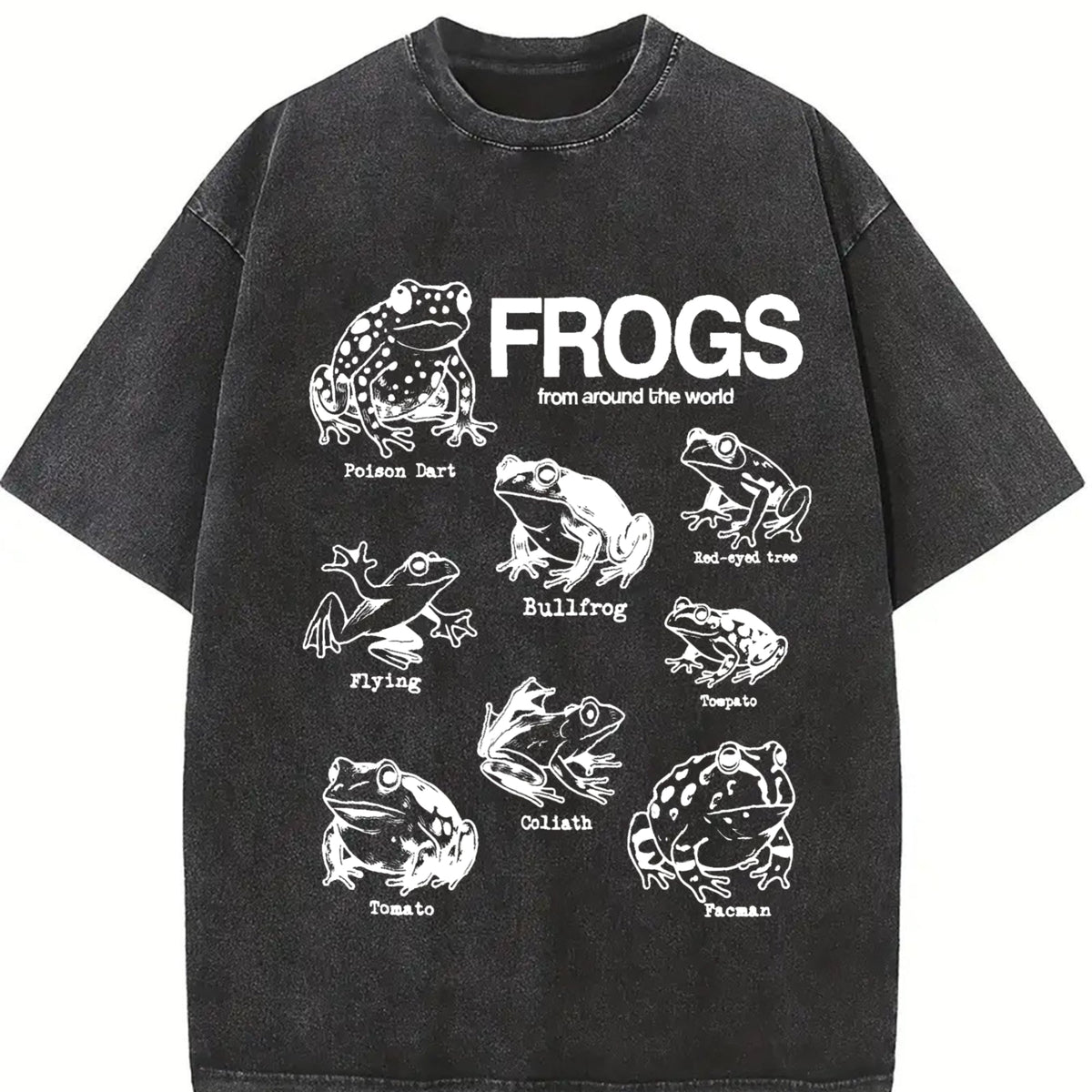 Frogs Around The World Vintage Washed T-Shirt product image 2