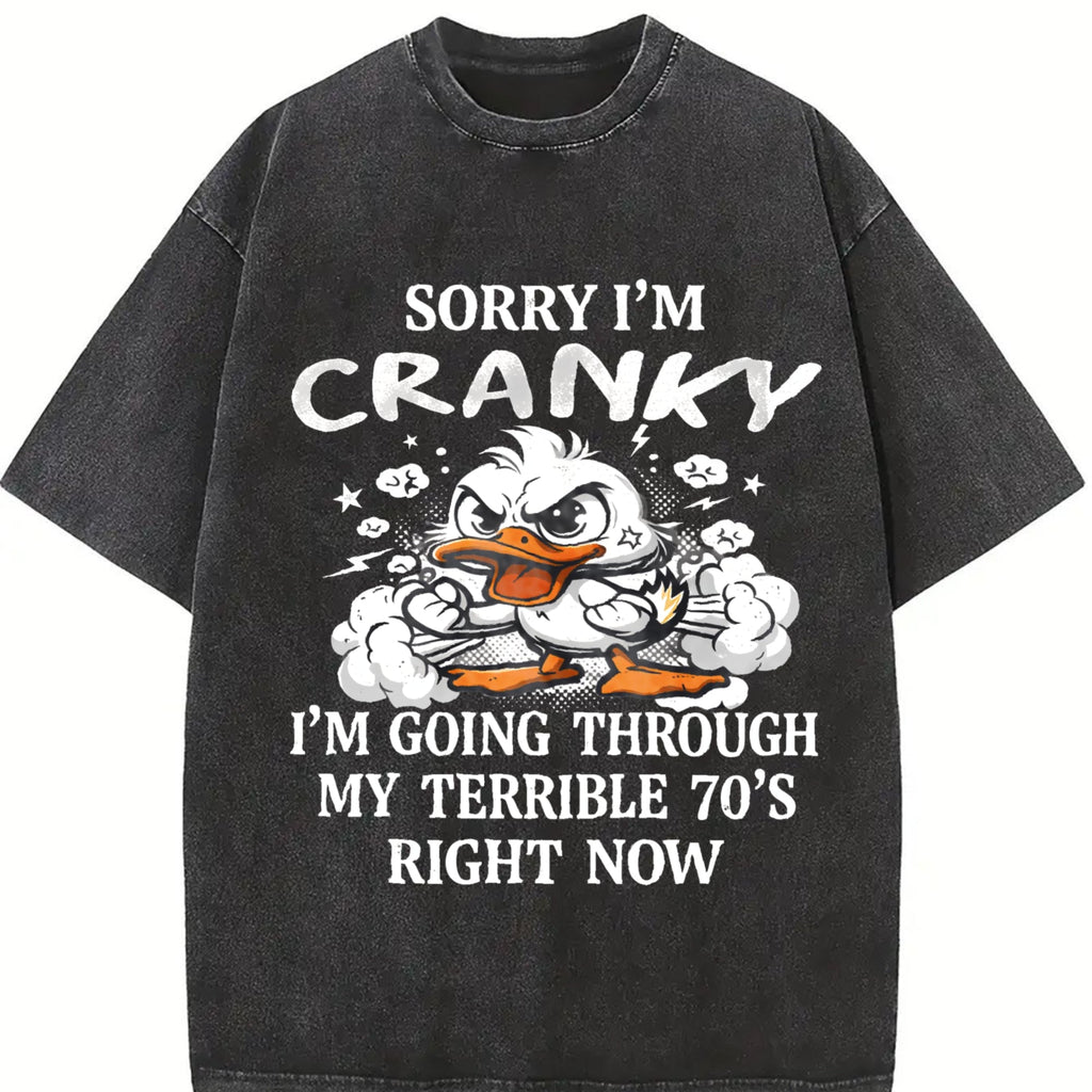 The Cranky Coastal Granddaughter: Sun-faded With Sorry product image 2