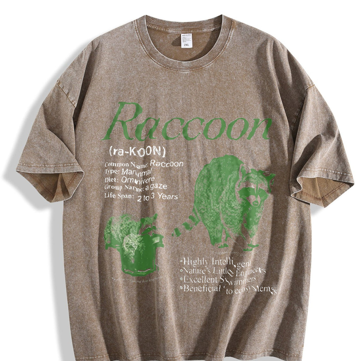 Raccoon Infographic Vintage Washed T-Shirt product image 3