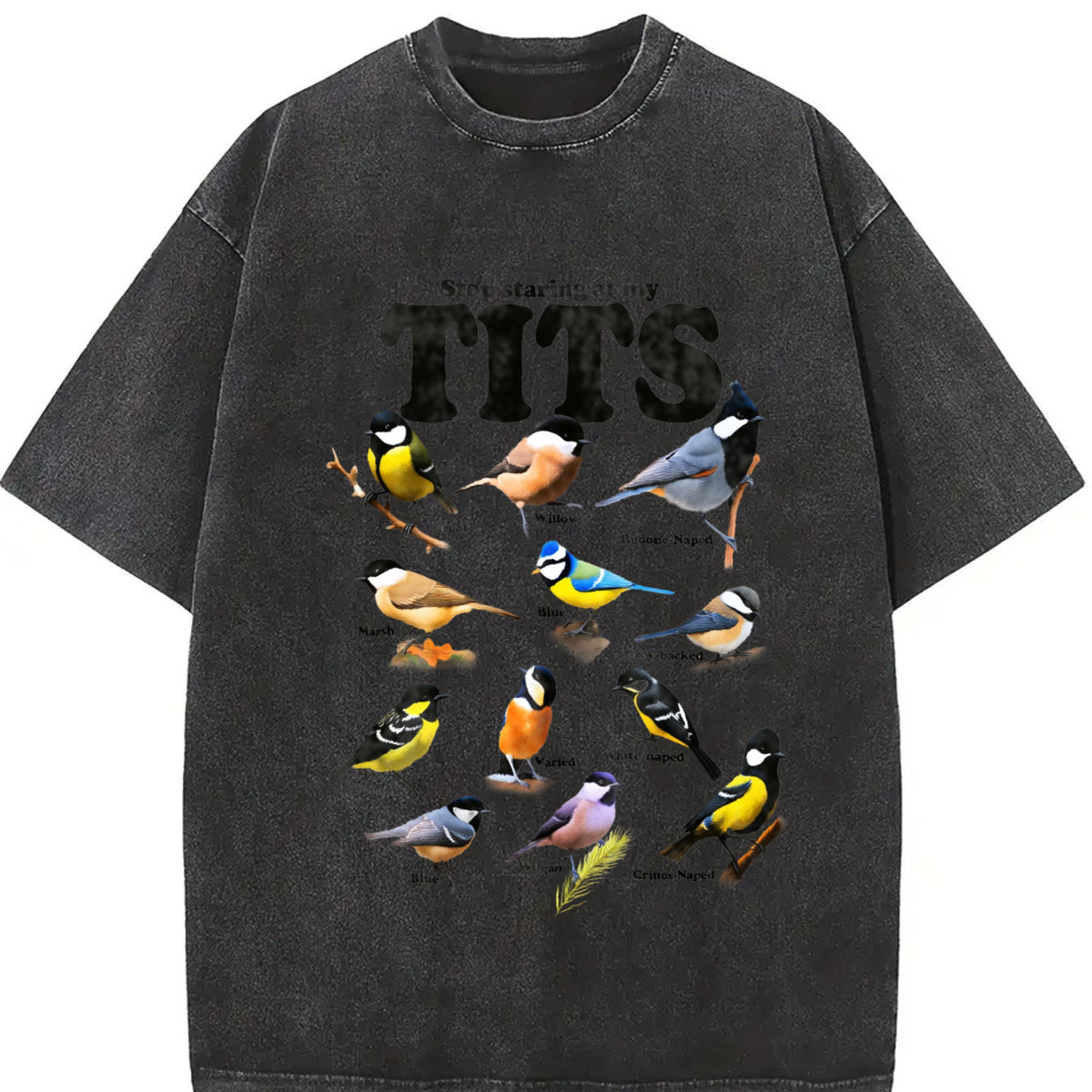 Tit Birds 90s Vintage Washed T-Shirt product image 2