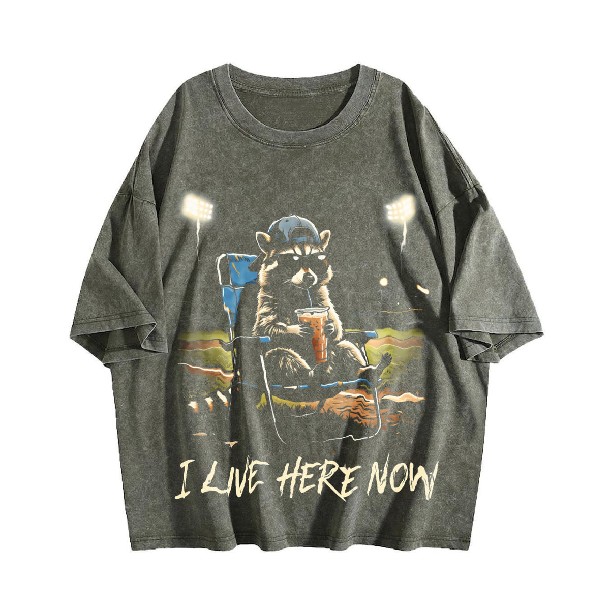 I Live Here Now Ballpark Vintage Washed T-Shirt product image 4