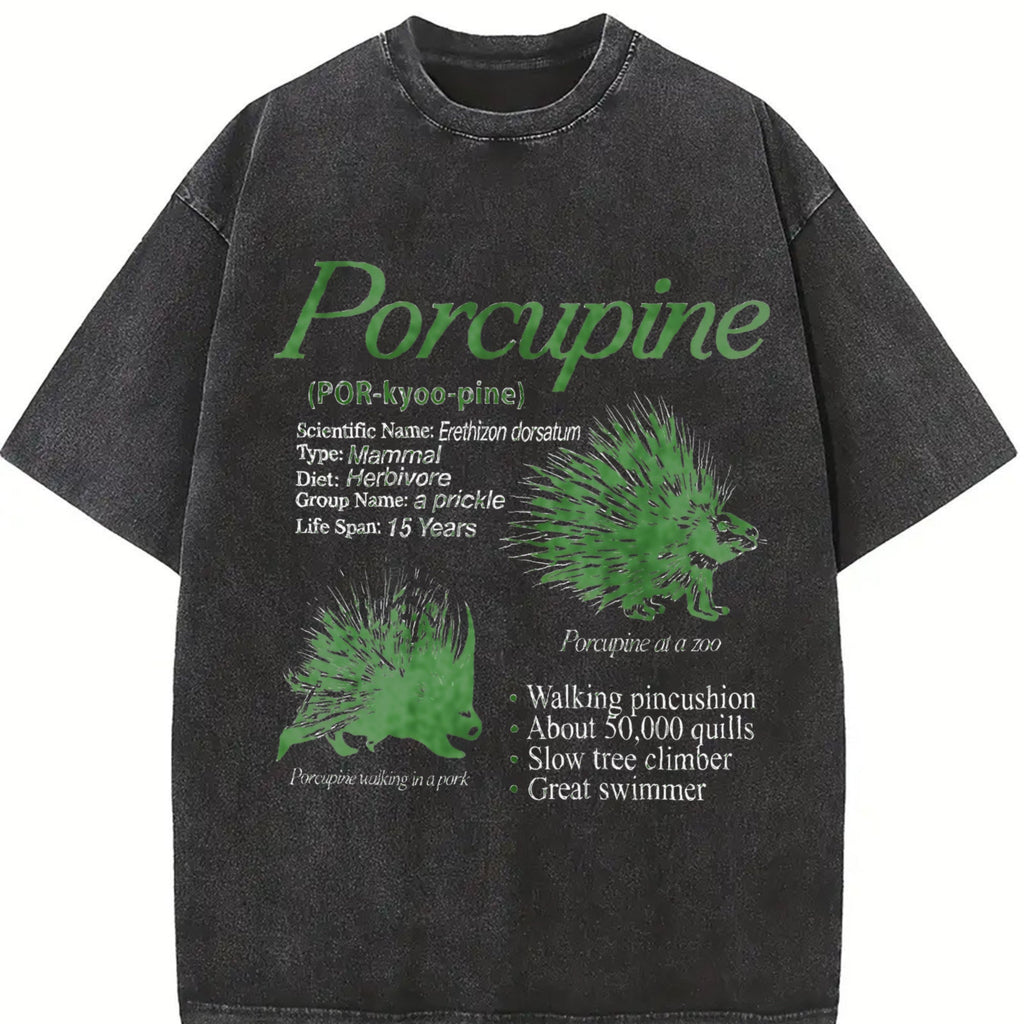 Porcupine 90s Vintage Washed T-Shirt product image 2