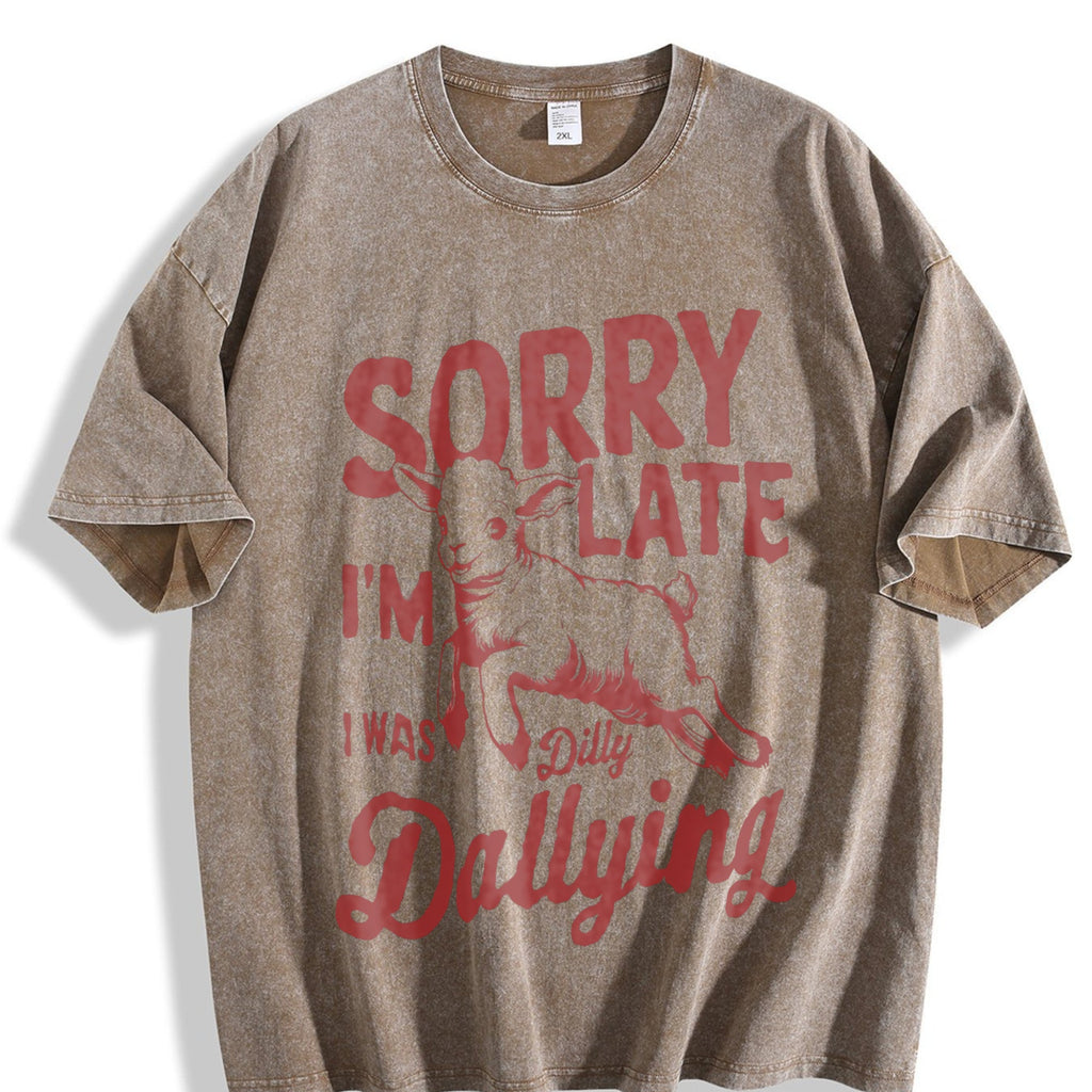Sorry I'm Late I Was Dilly Dallying 90s Vintage Washed product image 3